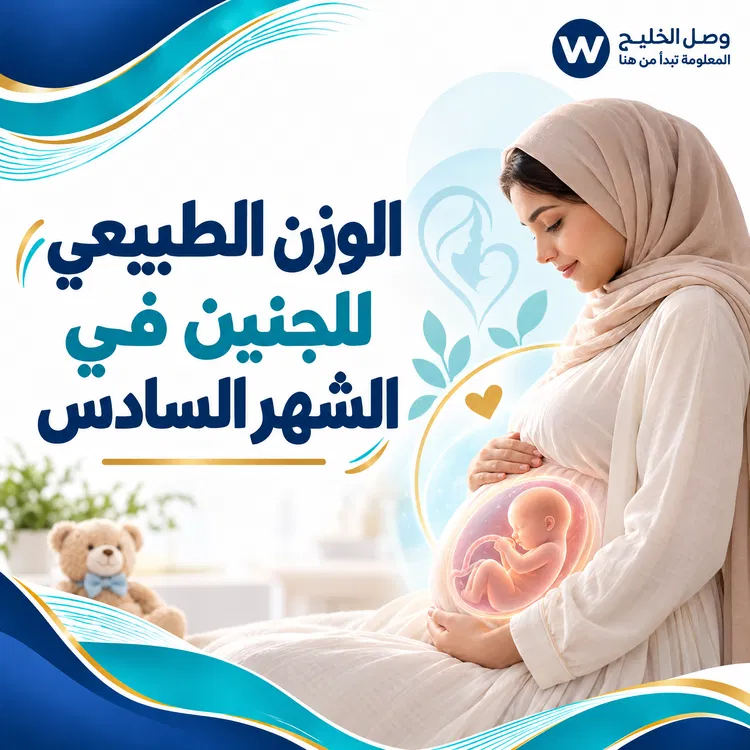 الوزن الطبيعي للجنين في الشهر السادس